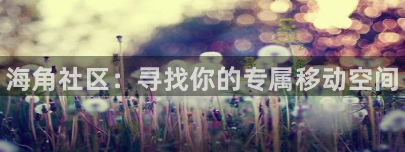 海角社区地址获取:海角社区:寻找你的专属移动空间